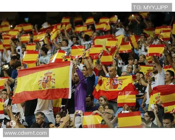 历届安徽足球明星的辉煌成就与影响力全面盘点与排名分析